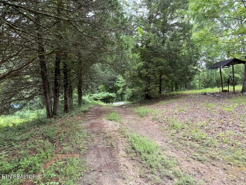 131 Williams Cir, Rockwood, TN 37854