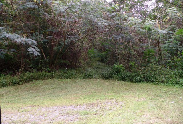 1310 Ogle Rd, Sevierville, TN 37876