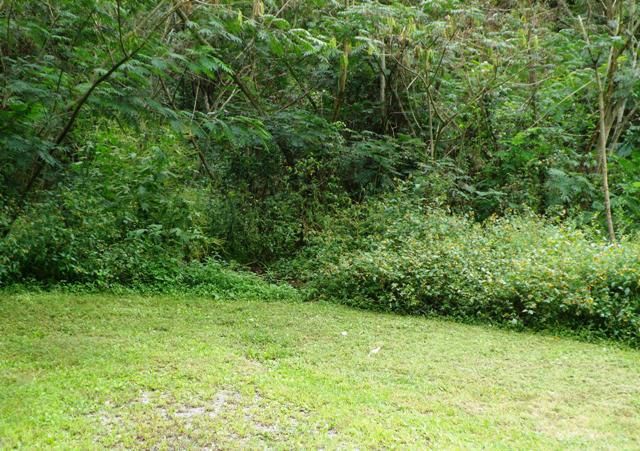 1310 Ogle Rd, Sevierville, TN 37876