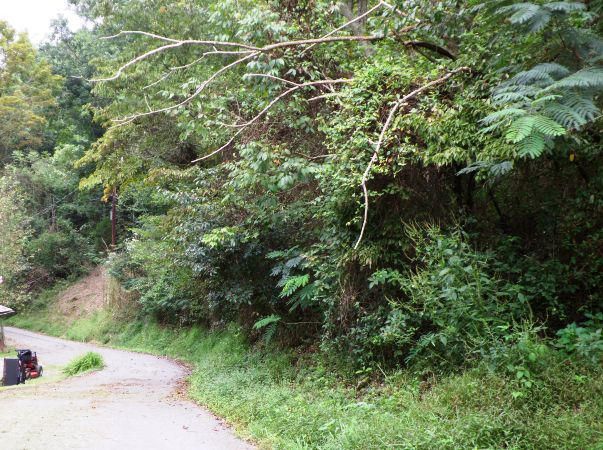 1310 Ogle Rd, Sevierville, TN 37876