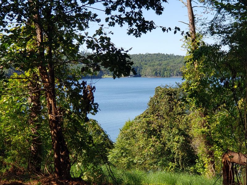 1310 Windridge Rd, Friendsville, TN 37737
