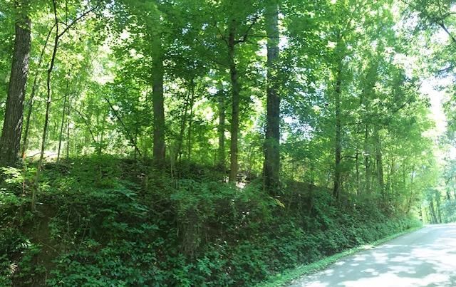 13108 Lovelace Rd, Knoxville, TN 37932