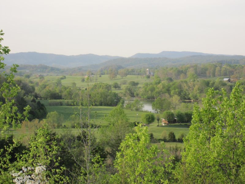 1316 Howell Rd, Mascot, TN 37806