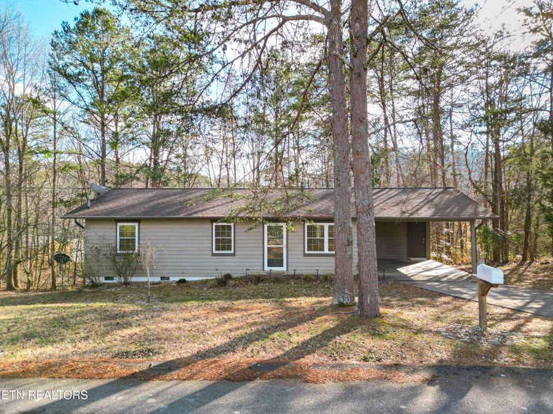 1318 Blue Ridge Dr, Sevierville, TN 37862
