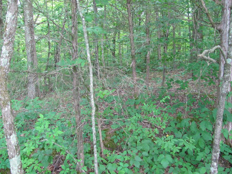 132 Noya Ln, Loudon, TN 37774