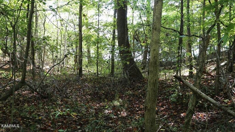 132.7 Ac Paint Rock Ferry Rd, Kingston, TN 37763
