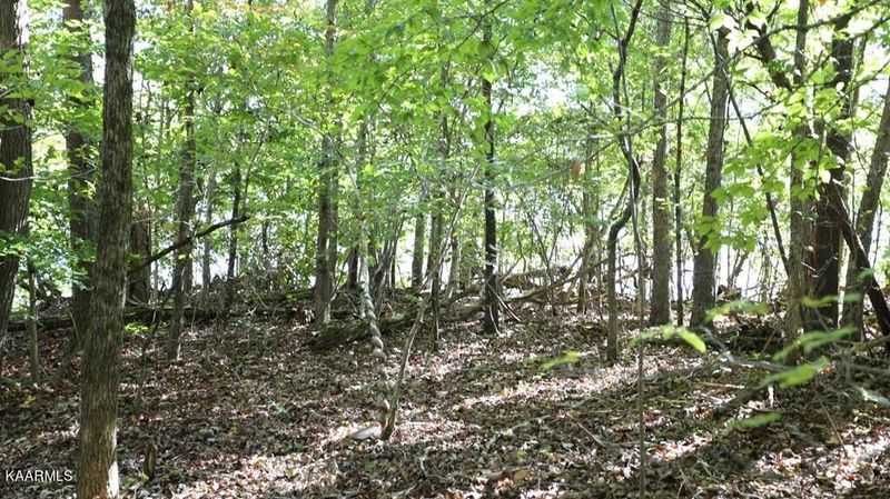 132.7 Ac Paint Rock Ferry Rd, Kingston, TN 37763