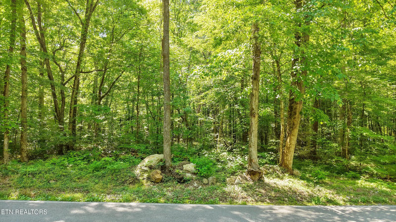 1322 E Millers Cove Rd, Walland, TN 37886