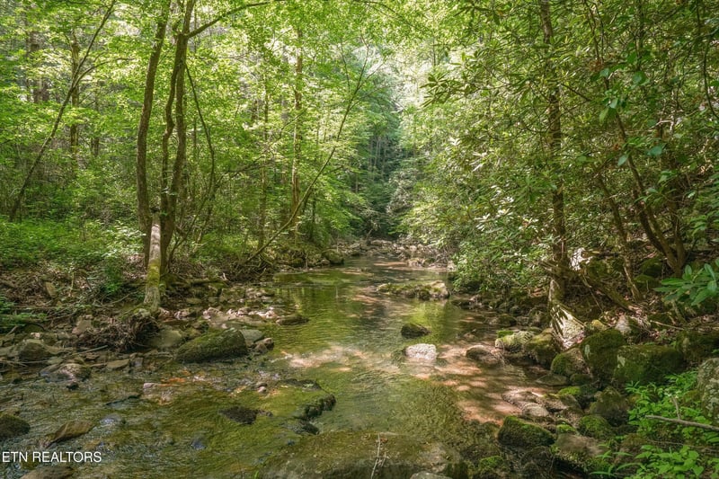 1322 E Millers Cove Rd, Walland, TN 37886
