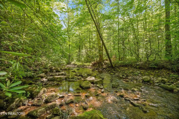 1322 E Millers Cove Rd, Walland, TN 37886