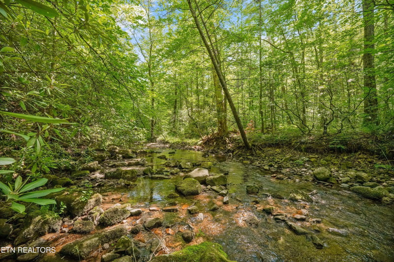 1322 E Millers Cove Rd, Walland, TN 37886