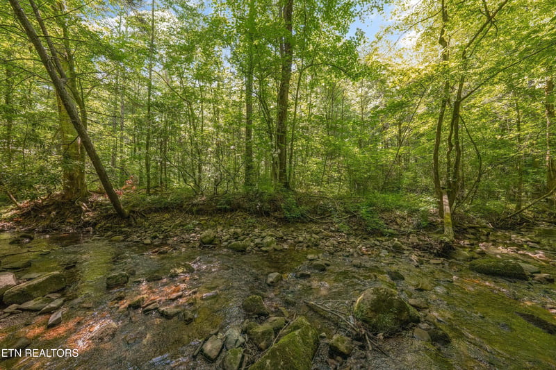 1322 E Millers Cove Rd, Walland, TN 37886