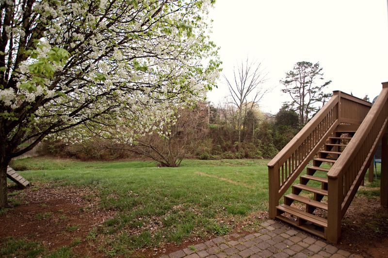 1323 Willowood Rd, Knoxville, TN 37922