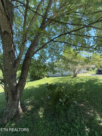 1325 Sharp Ln, Caryville, TN 37714