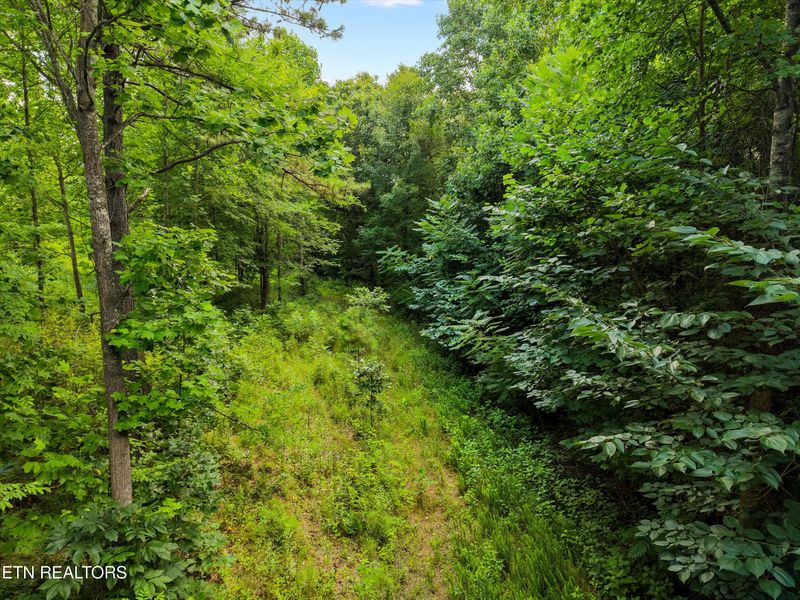 13252 Flatwoods Rd, Sweetwater, TN 37874