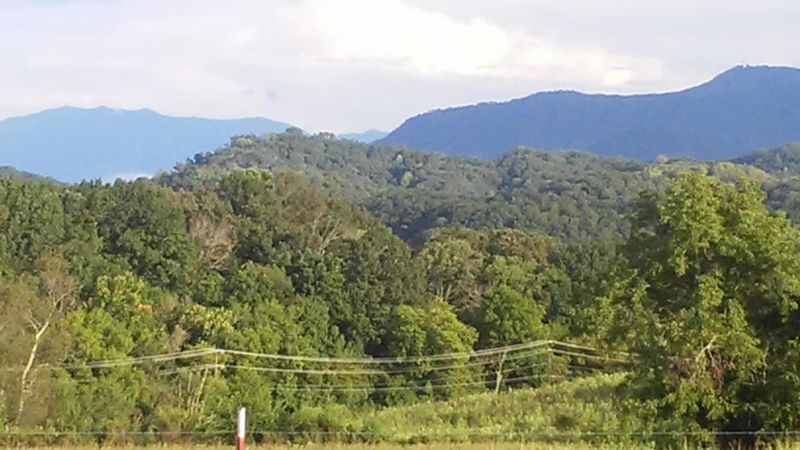 1327 Trentham Cir, Seymour, TN 37865