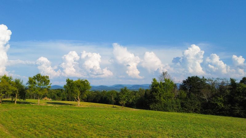 133 County Road 438, Athens, TN 37303
