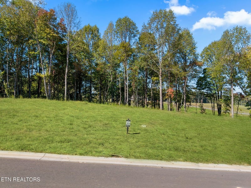 133 Fawn Ct, Loudon, TN 37774
