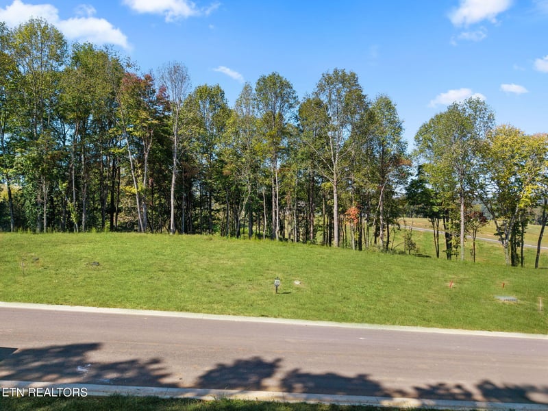 133 Fawn Ct, Loudon, TN 37774