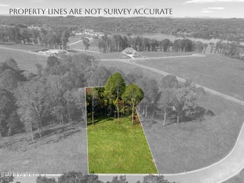 133 Fawn Ct, Loudon, TN 37774