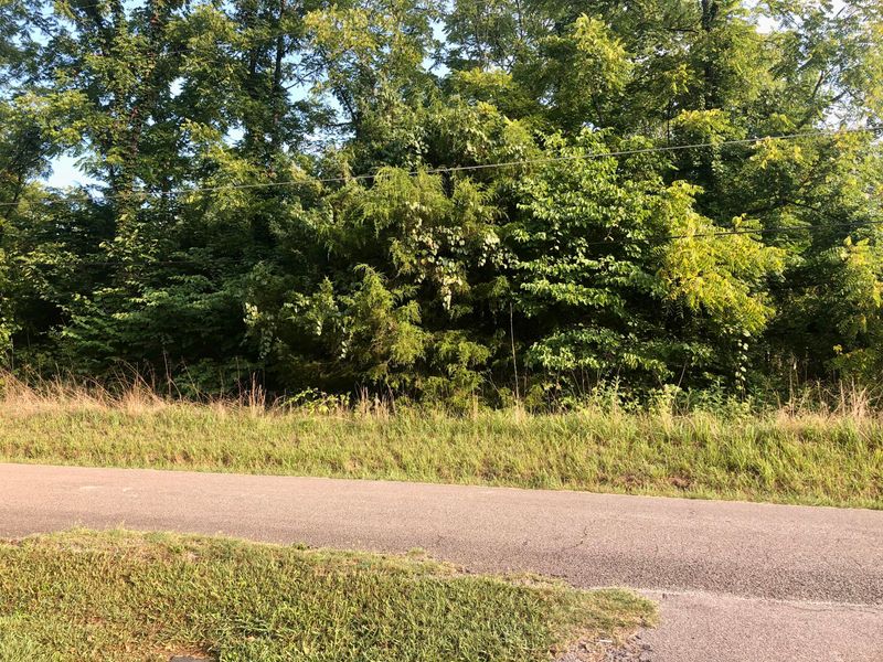133 Leach Ln, Clinton, TN 37716