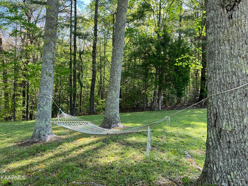 133 M J Sheldon Rd, Harriman, TN 37748