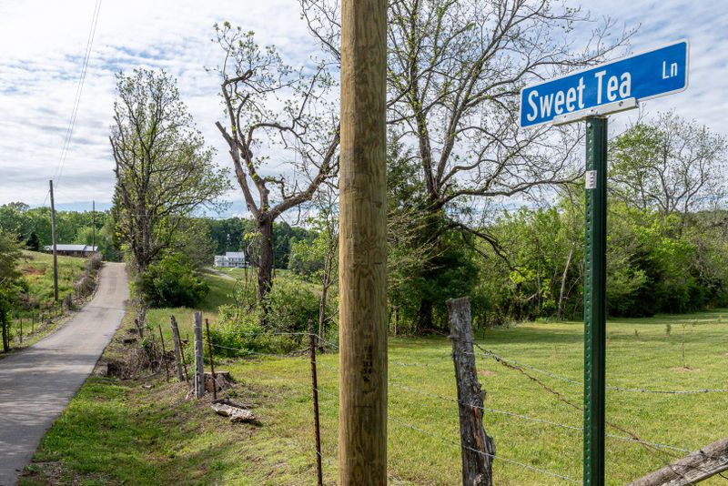133 Sweet Tea Ln, Greenback, TN 37742