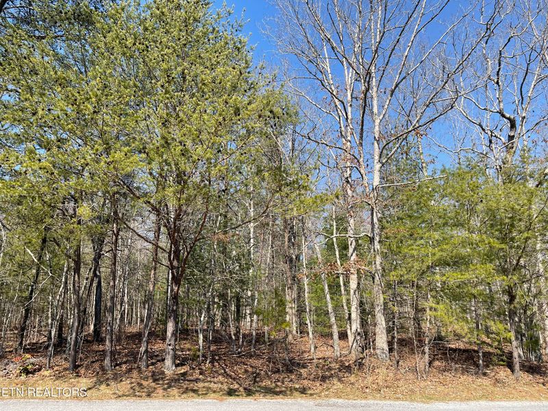 133 Tawny Oak Loop, Crossville, TN 38558