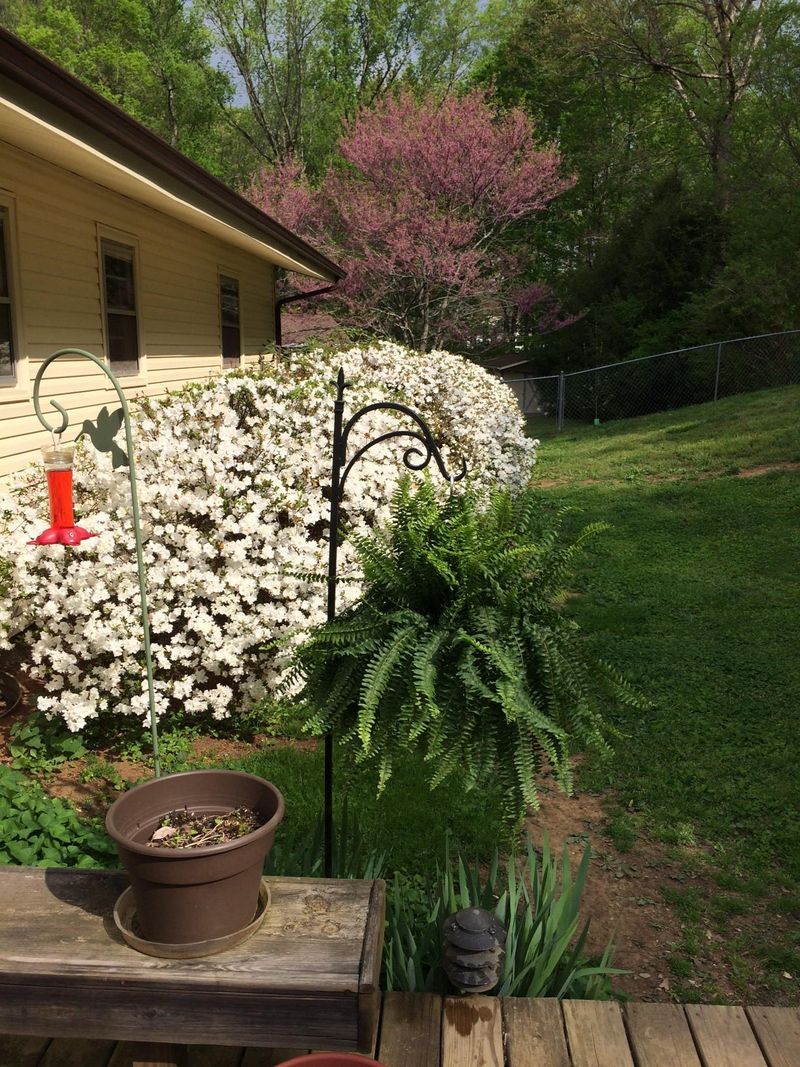 1330 Riley Dr, Lenoir City, TN 37771