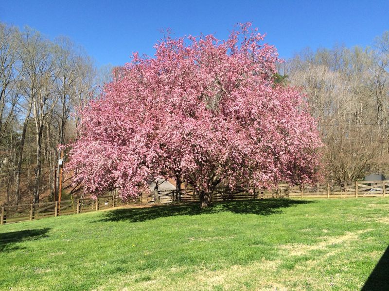 1330 Riley Dr, Lenoir City, TN 37771