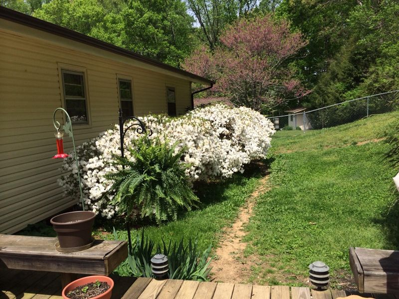1330 Riley Dr, Lenoir City, TN 37771