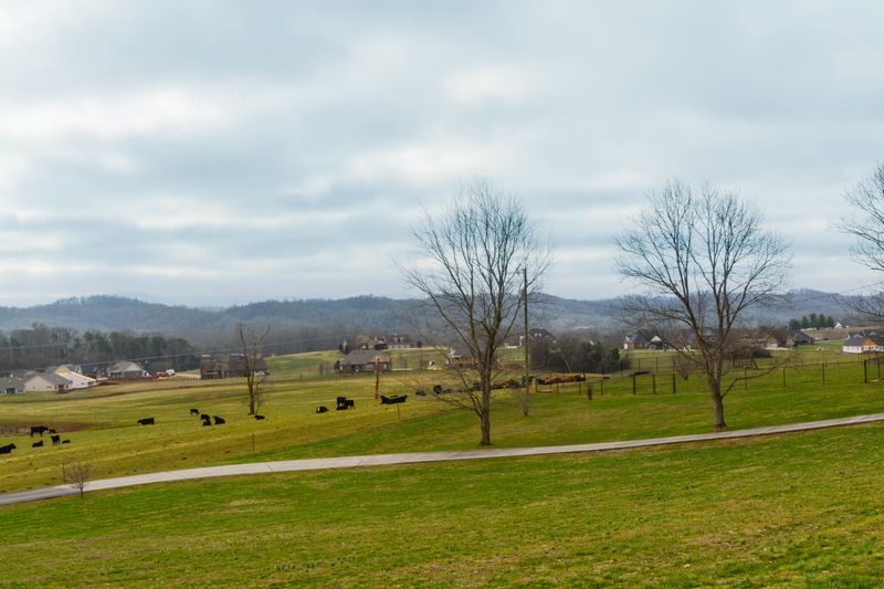 1331 Jim Fain Rd, Sevierville, TN 37876