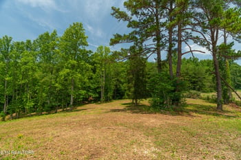 1331 Mccammon Rd, Knoxville, TN 37920