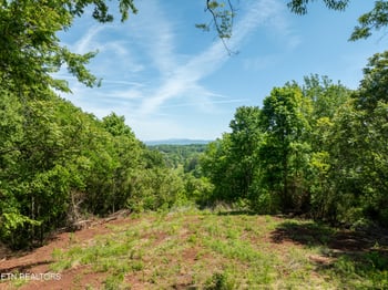 13389 Meadow Rd, Lenoir City, TN 37772