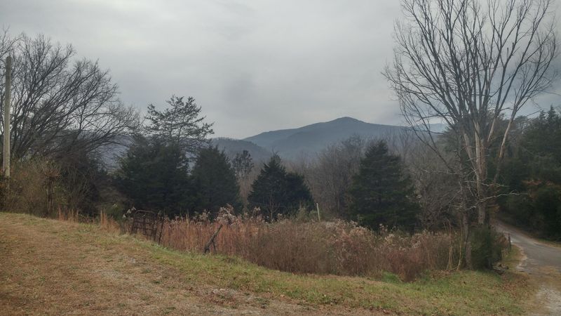 134 Dale Ln, Rocky Top, TN 37769