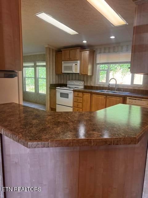 134 Hollow Ln, Caryville, TN 37714