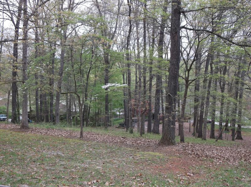 134 Van Stowe Rd, Harriman, TN 37748