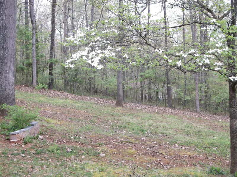 134 Van Stowe Rd, Harriman, TN 37748