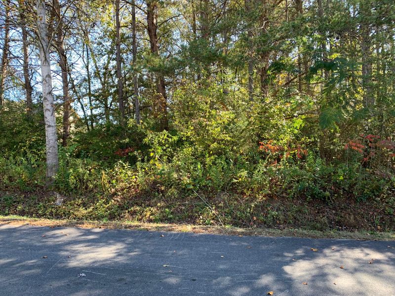 134 Walosi Way, Loudon, TN 37774
