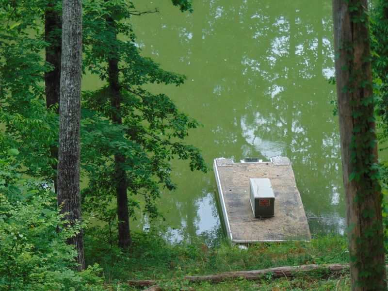 1341 River Bend Dr, Kingston, TN 37763