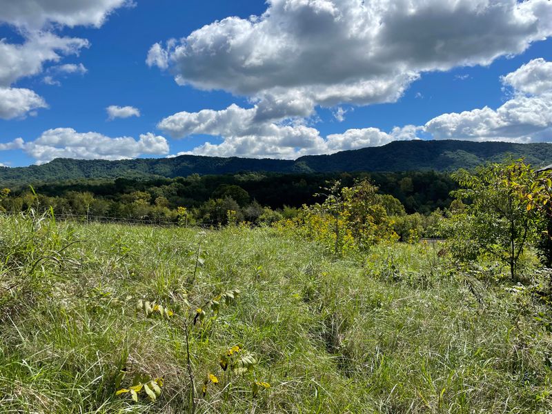 13424 Hwy 131, Rutledge, TN 37861