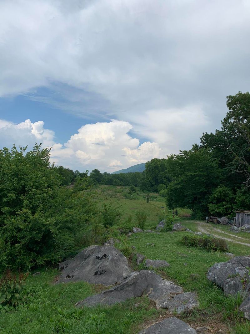 13435 Highway 131, Powder Springs, TN 37848