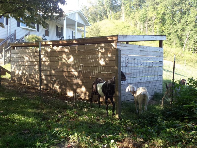 1346 Swan Pond Circle Rd, Harriman, TN 37748