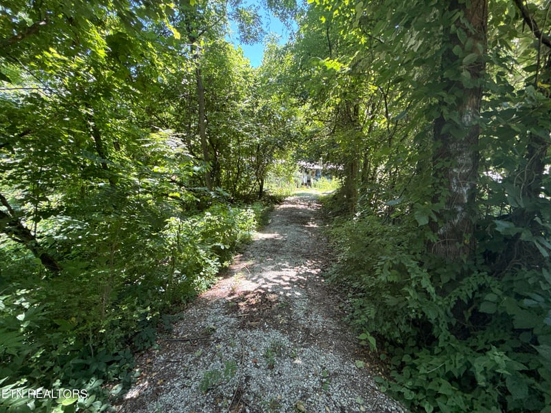 1347 Sharp Ln, Caryville, TN 37714
