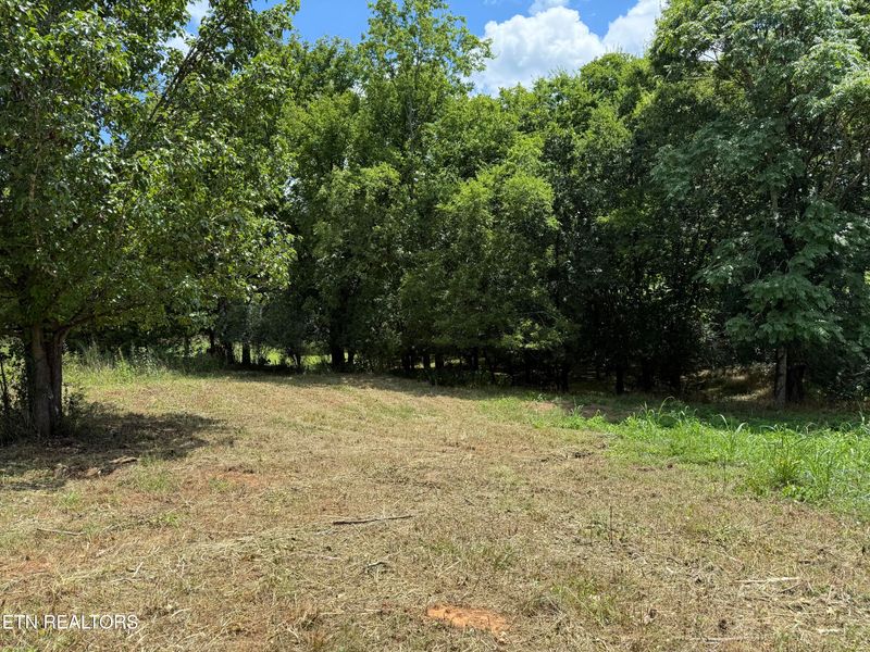 135 Itawa Tr, Vonore, TN 37885