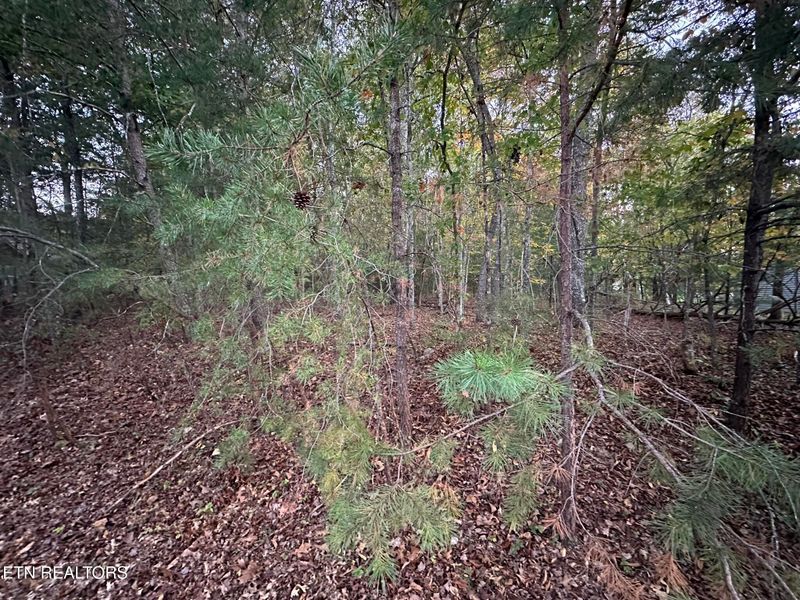 135 Lechmere Dr, Fairfield Glade, TN 38558