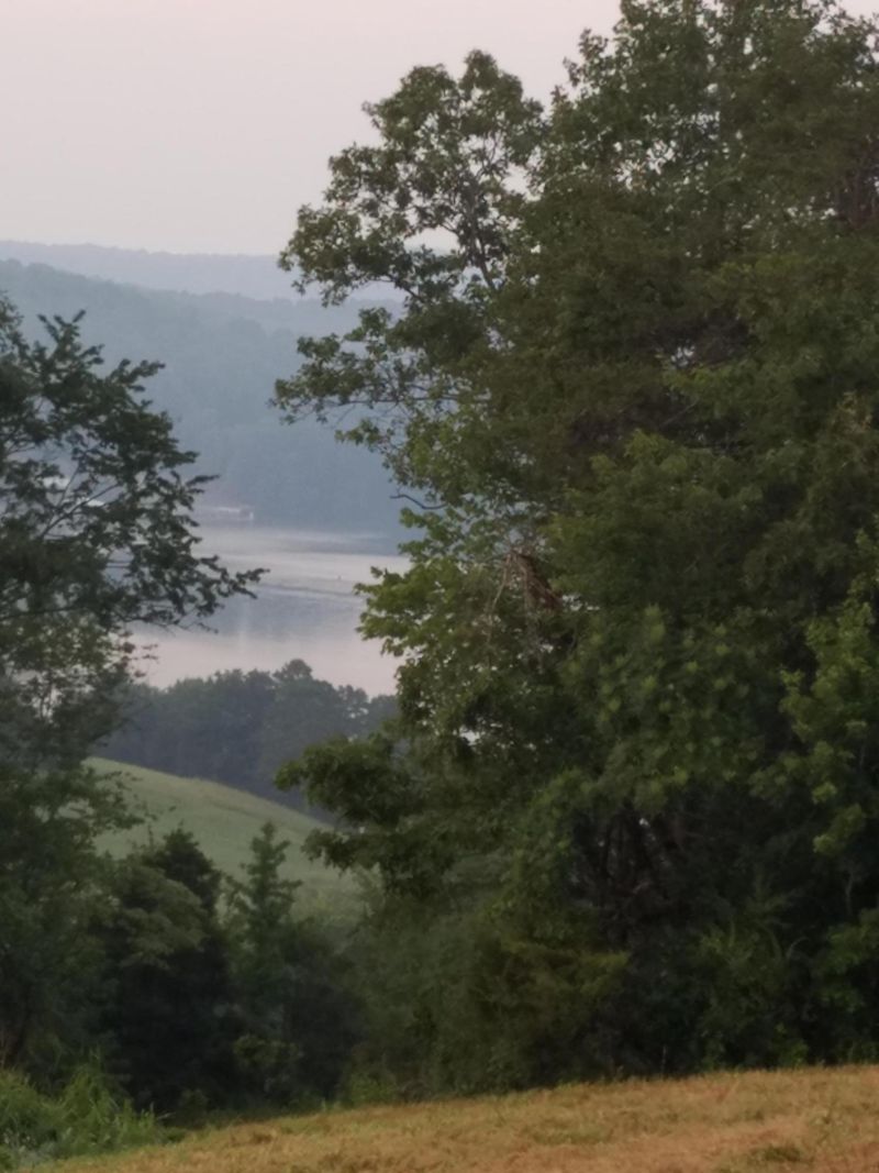 1354 Bowman Bend Rd, Harriman, TN 37748