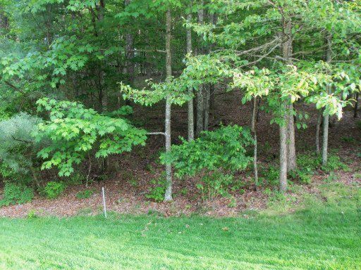 136 Havenridge Cir, Fairfield Glade, TN 38558