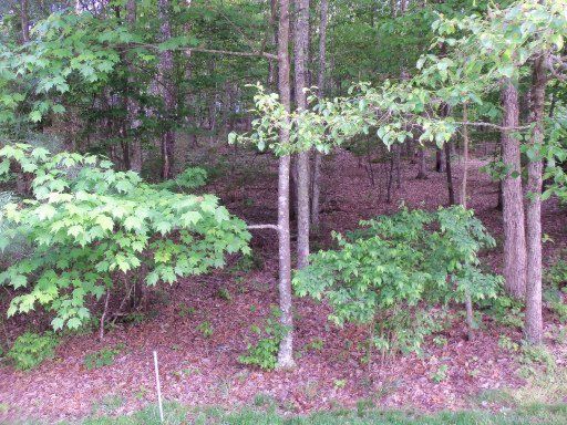 136 Havenridge Cir, Fairfield Glade, TN 38558