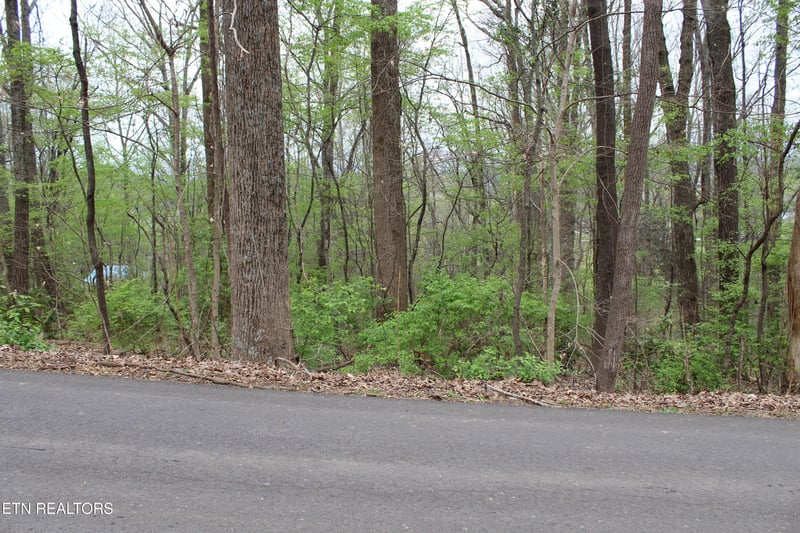 136 Linwood Dr, Sweetwater, TN 37874